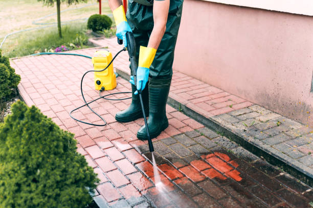 Best Fence Cleaning  in Double Springs, AL